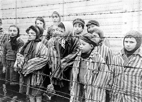 holocaust -- wikipedia|More.